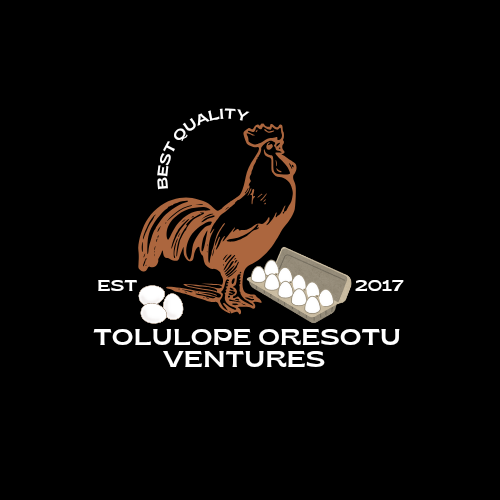 Tolulope Oresotu Ventures